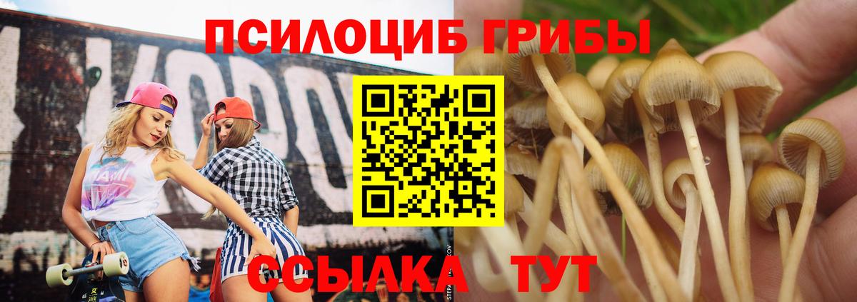 где купить наркотик  Вход с VPN  Галлюциногенные грибы MAGIC MUSHROOMS  Щёкино  Галлюциногенные грибы Magic Shrooms 
